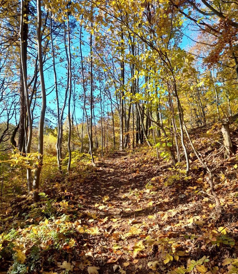 Wellness Pension Iveta Жаклерж Экстерьер фото